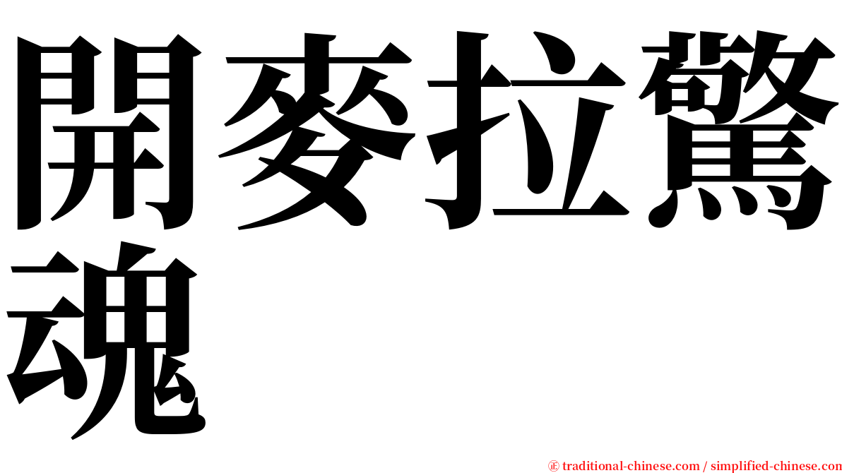 開麥拉驚魂 serif font