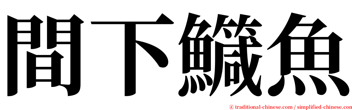 間下鱵魚 serif font