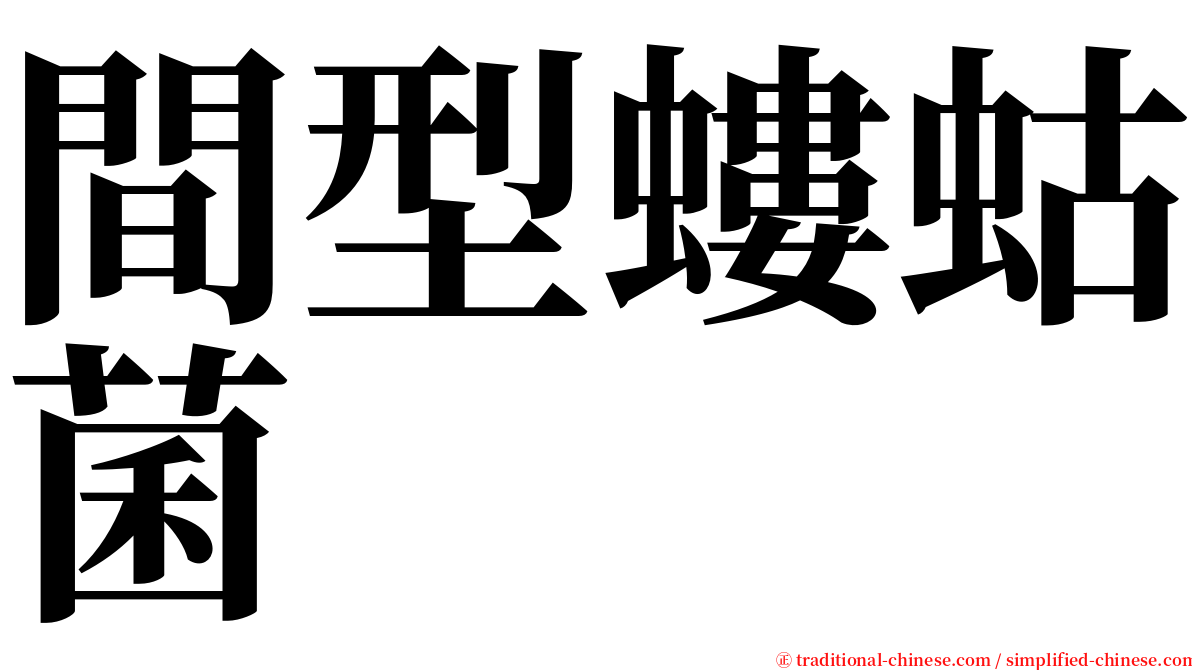 間型螻蛄菌 serif font