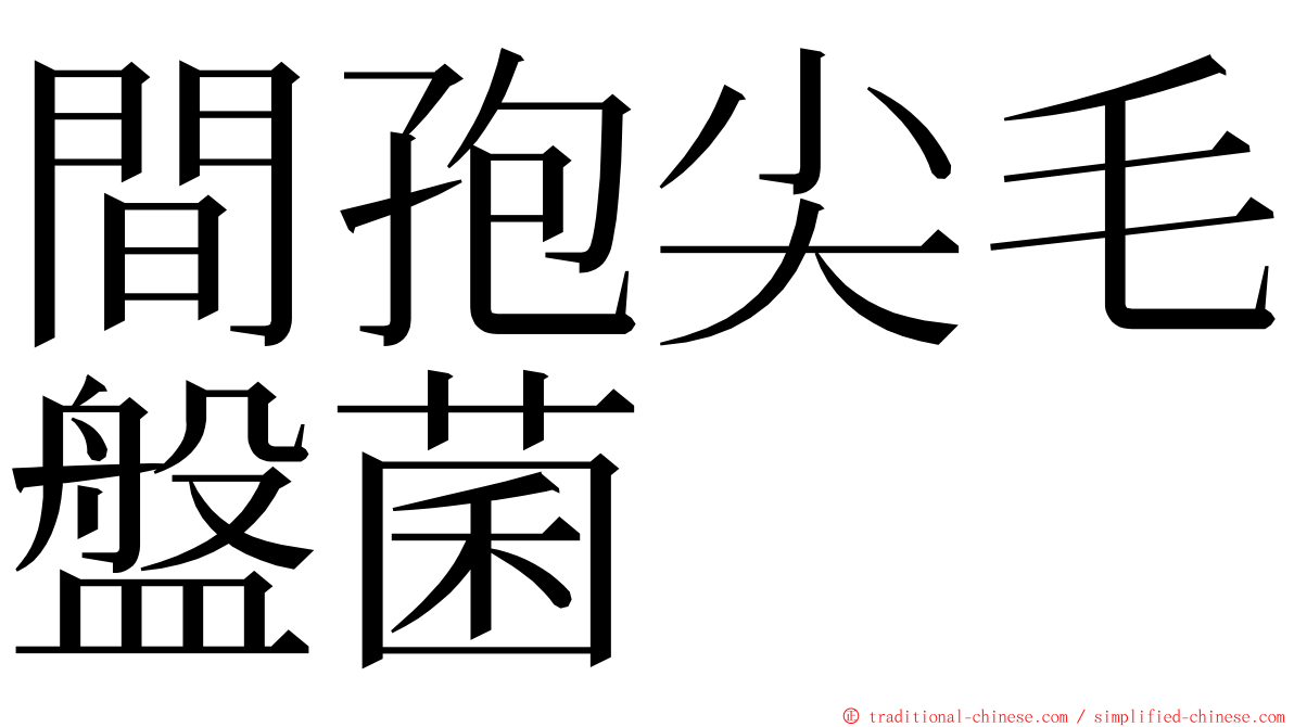 間孢尖毛盤菌 ming font