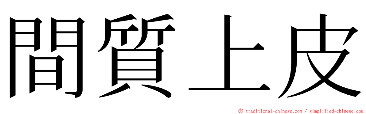 間質上皮 ming font