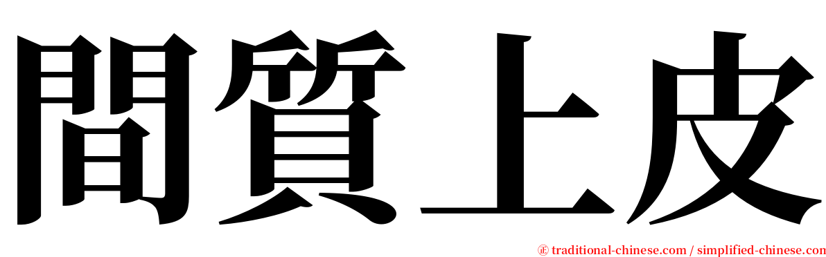 間質上皮 serif font