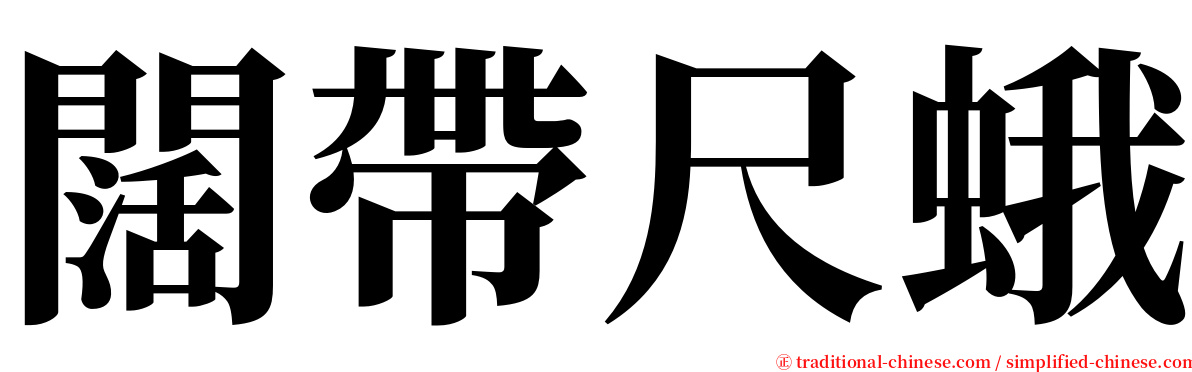 闊帶尺蛾 serif font