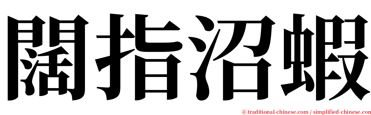 闊指沼蝦 serif font