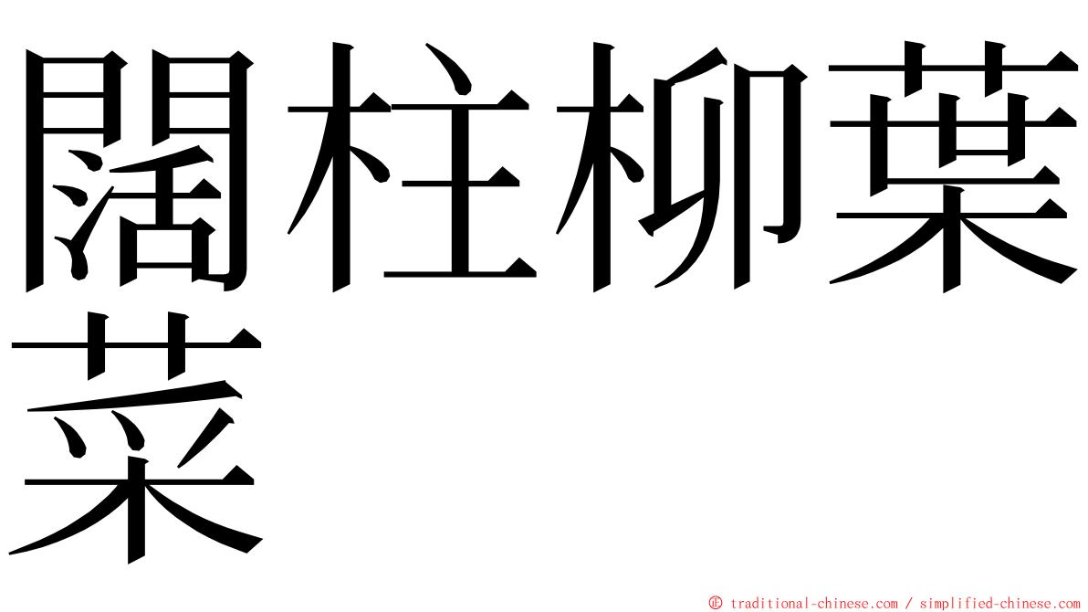 闊柱柳葉菜 ming font