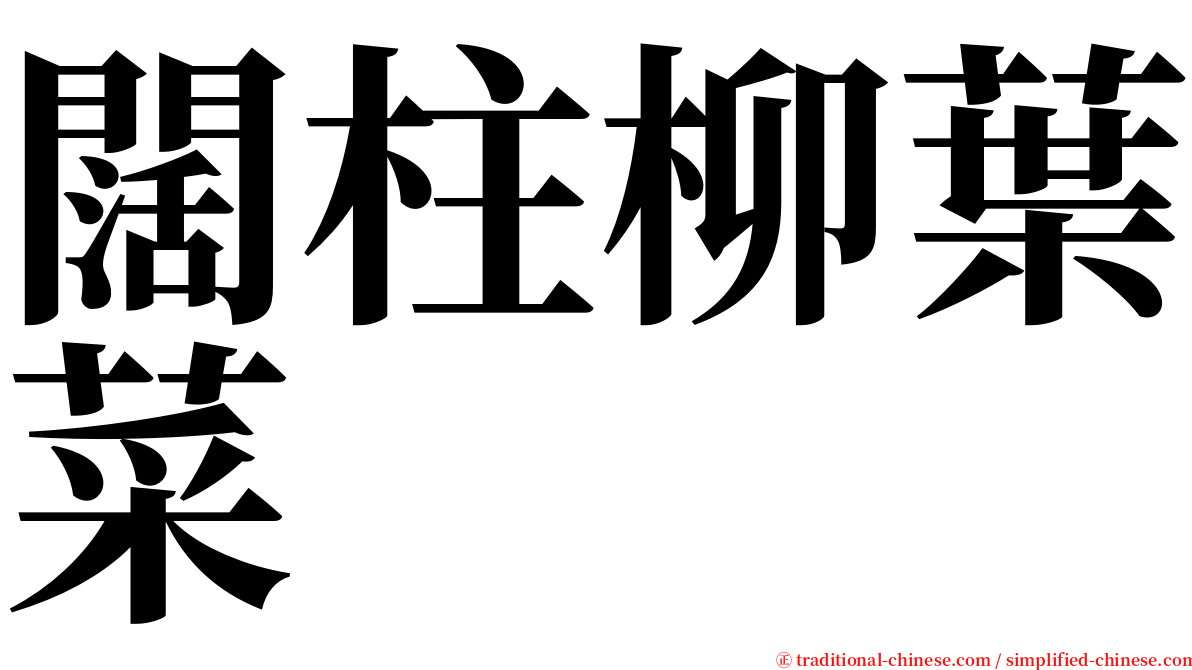 闊柱柳葉菜 serif font