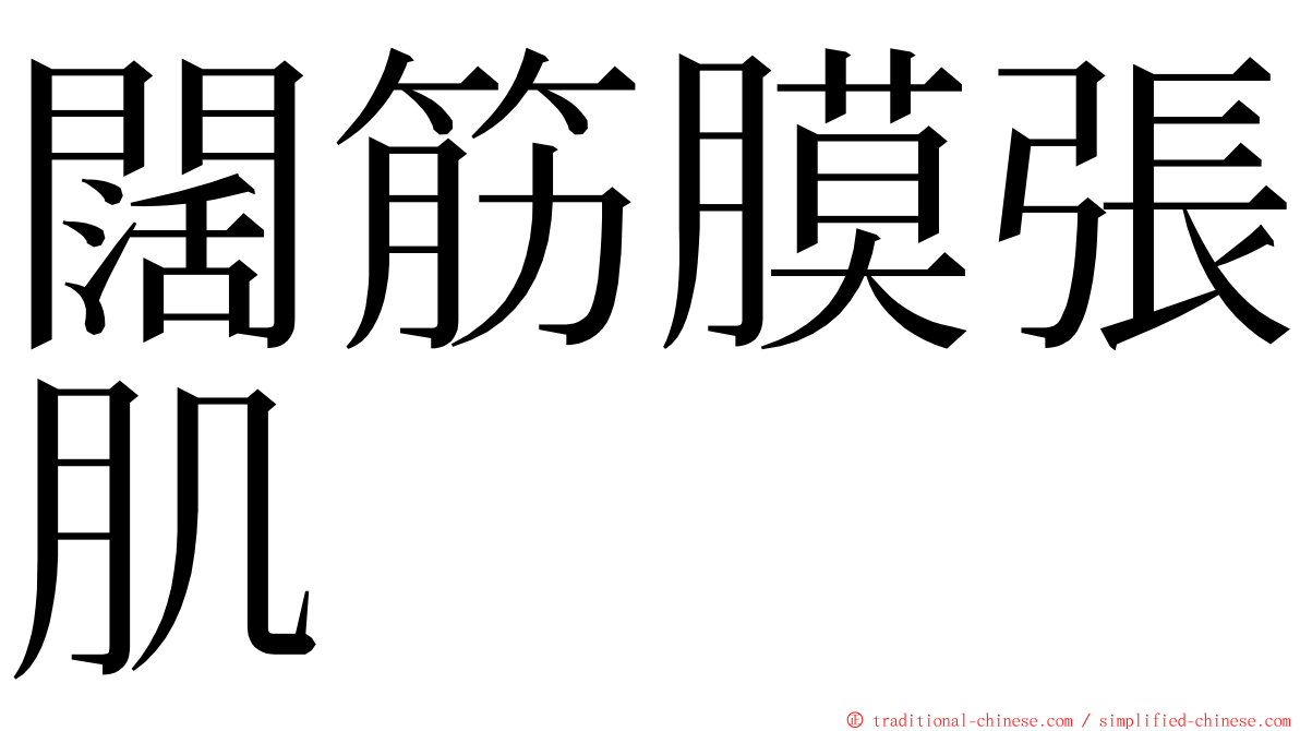 闊筋膜張肌 ming font