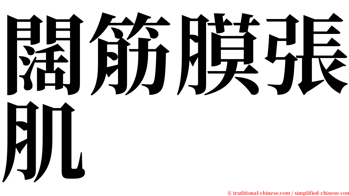 闊筋膜張肌 serif font