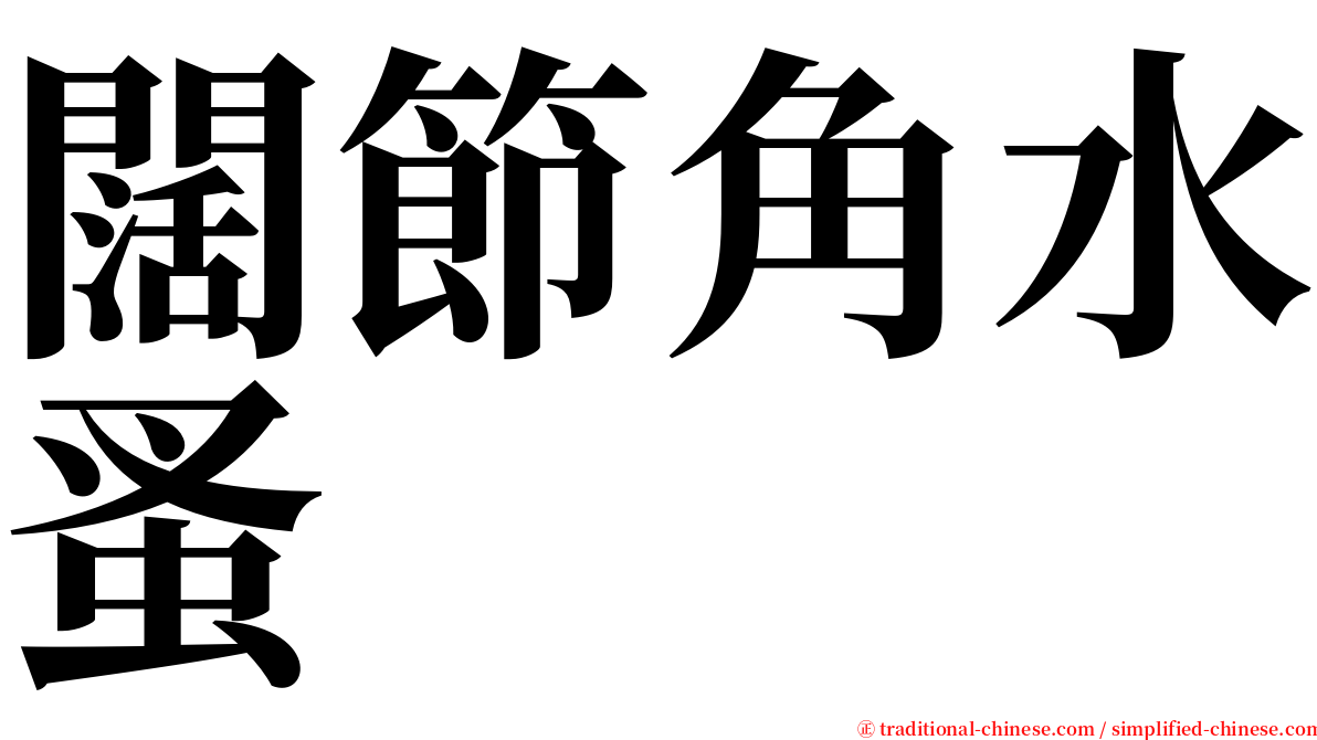 闊節角水蚤 serif font