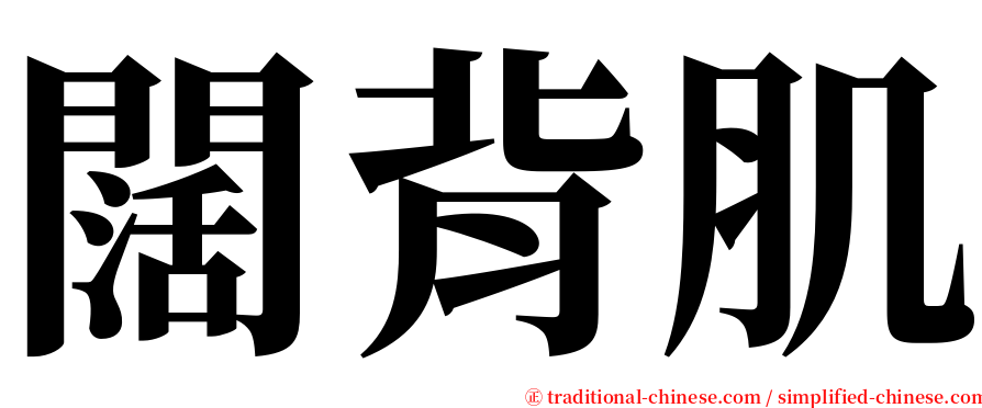 闊背肌 serif font