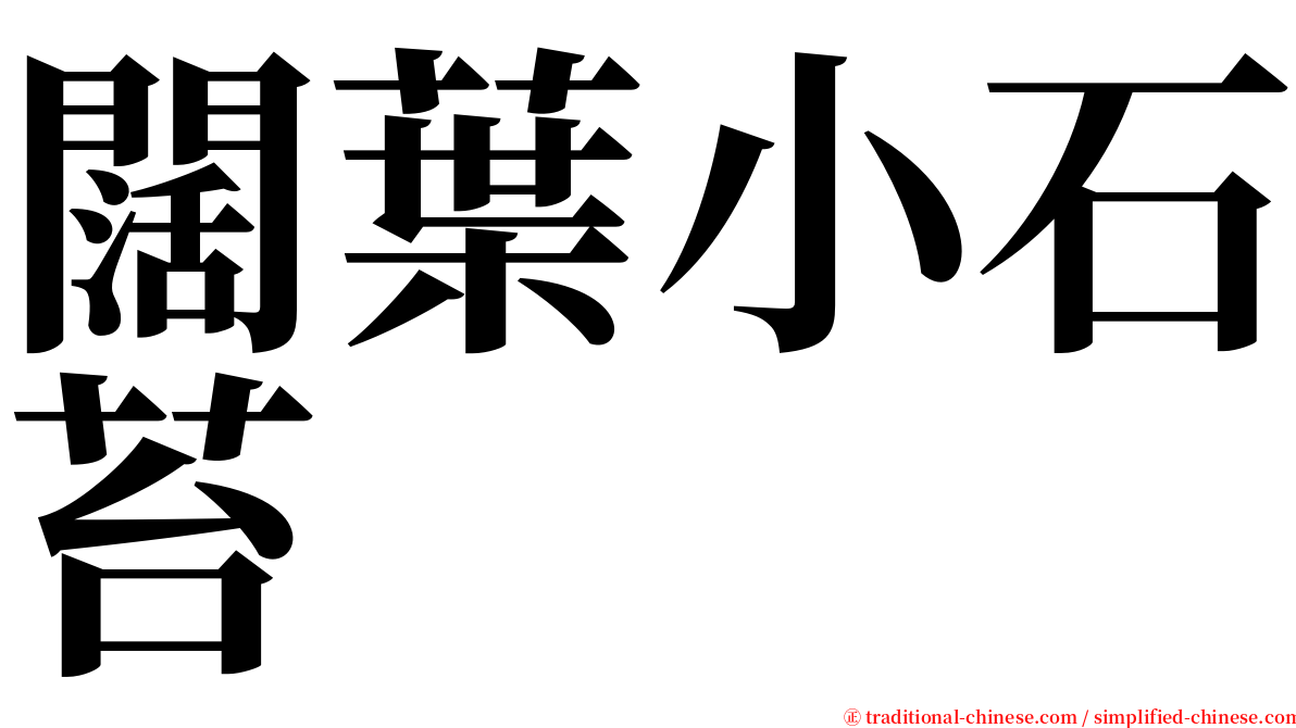 闊葉小石苔 serif font