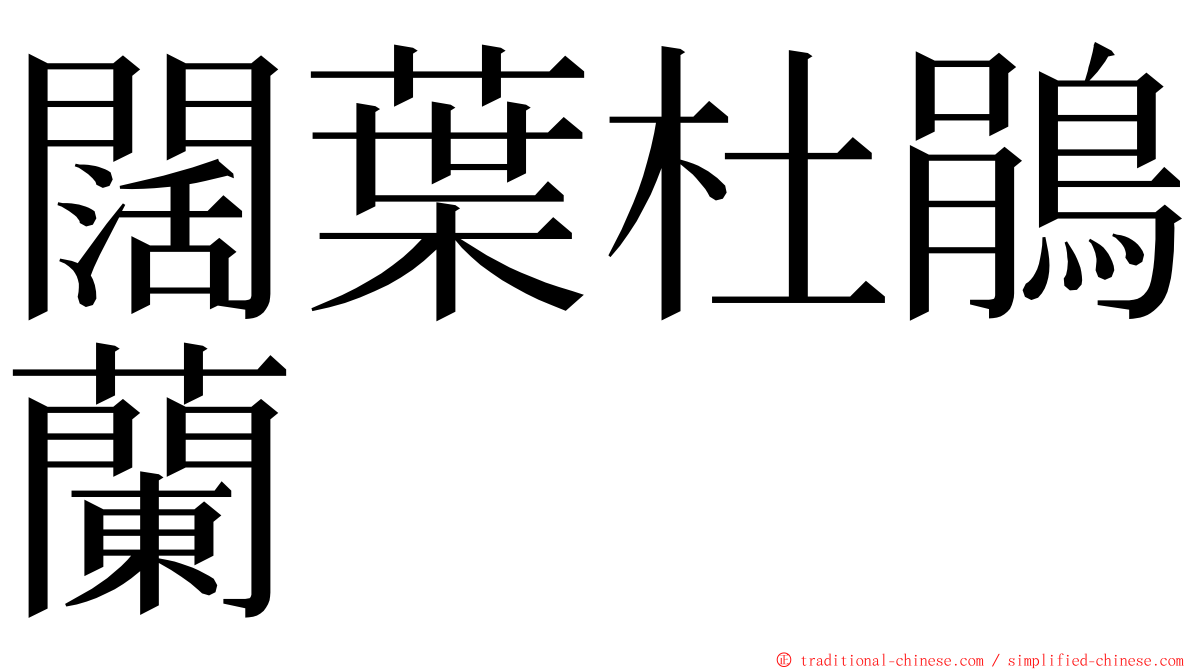 闊葉杜鵑蘭 ming font