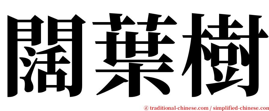 闊葉樹 serif font