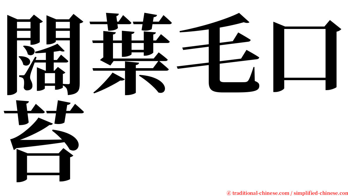 闊葉毛口苔 serif font