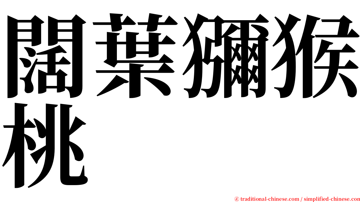 闊葉獼猴桃 serif font