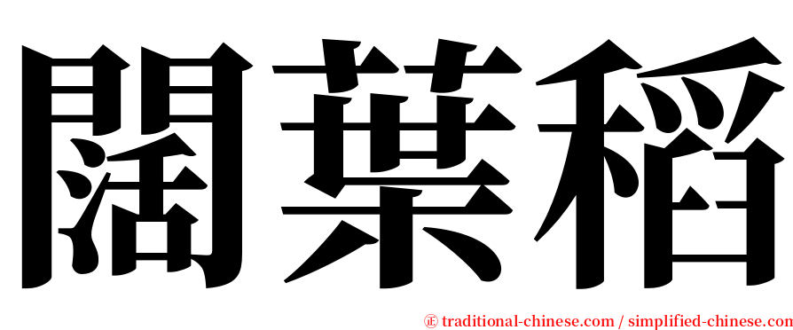 闊葉稻 serif font