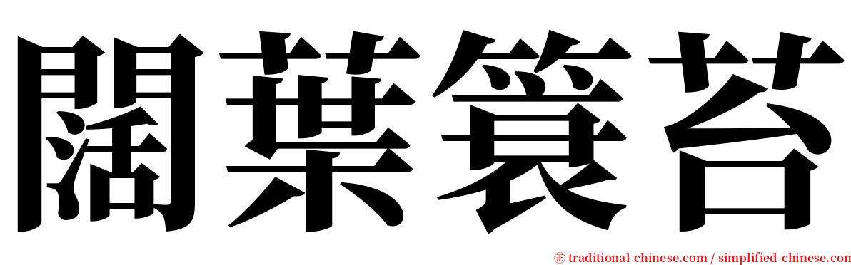 闊葉簑苔 serif font