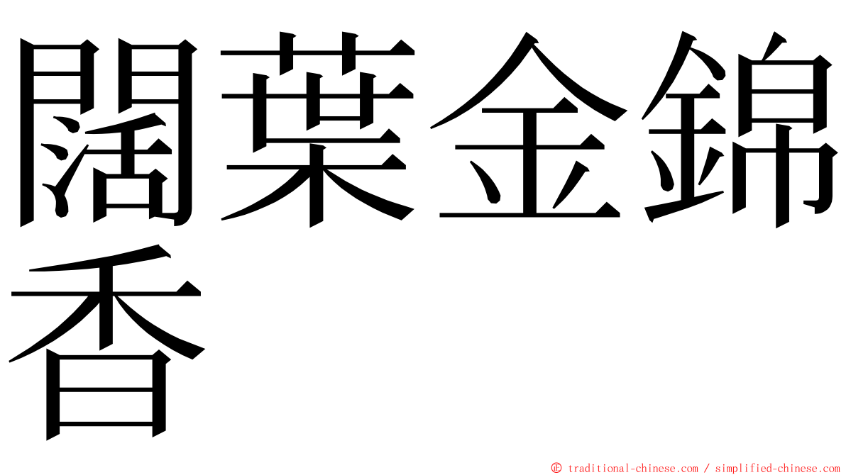 闊葉金錦香 ming font