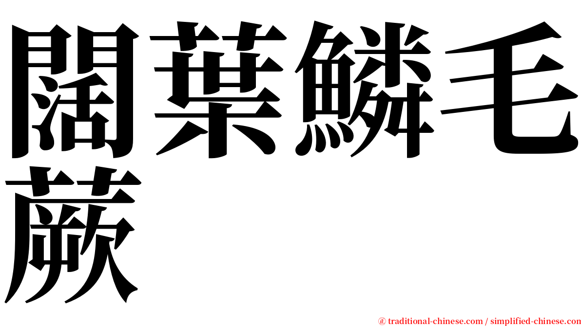 闊葉鱗毛蕨 serif font