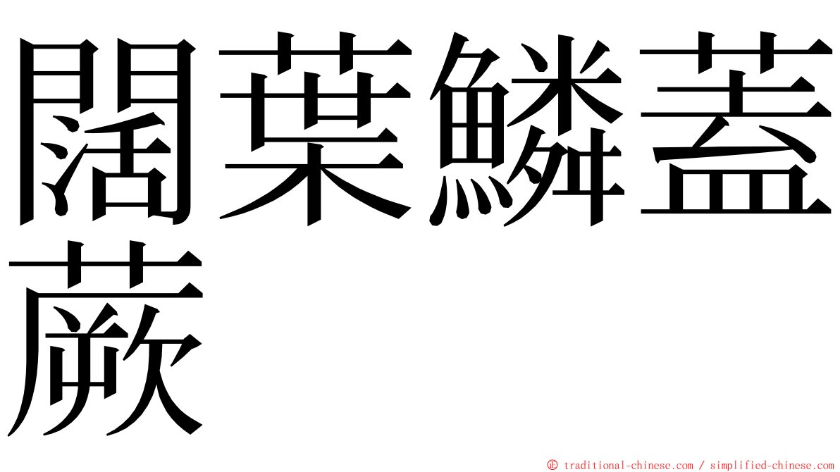 闊葉鱗蓋蕨 ming font