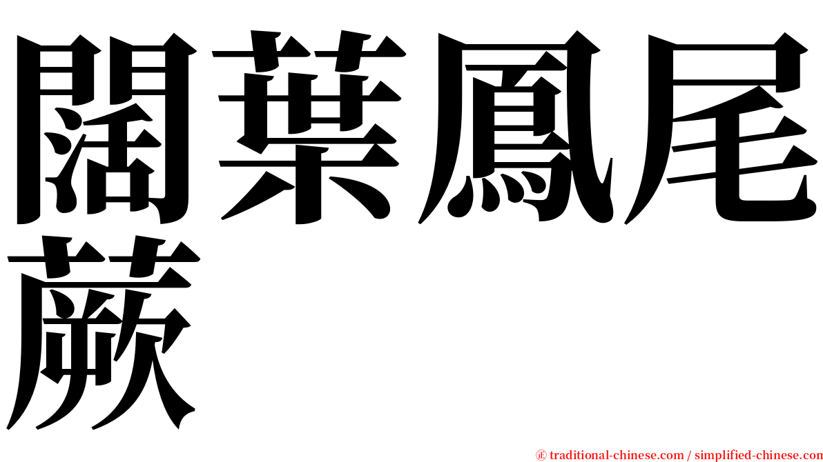 闊葉鳳尾蕨 serif font