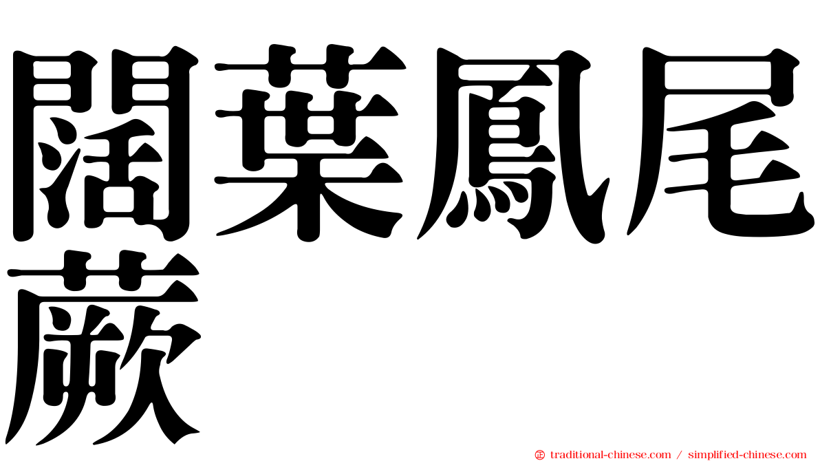 闊葉鳳尾蕨