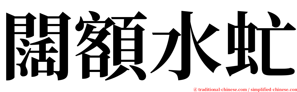 闊額水虻 serif font