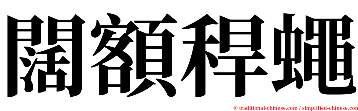 闊額稈蠅 serif font