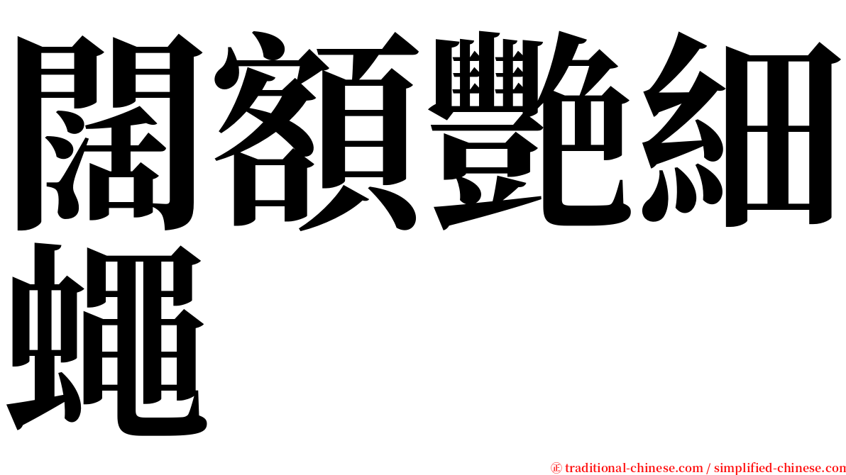 闊額艷細蠅 serif font