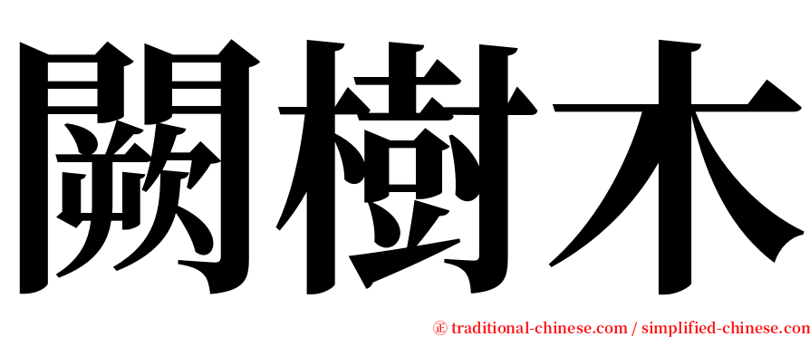 闕樹木 serif font