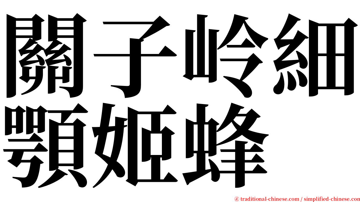 關子岭細顎姬蜂 serif font