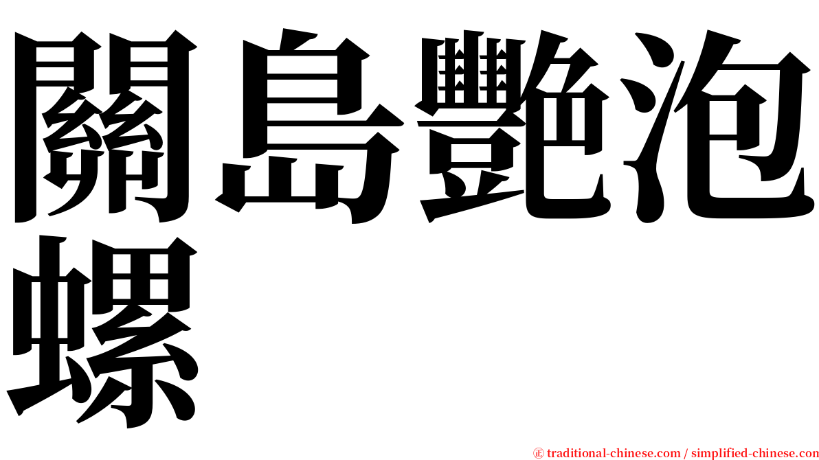 關島艷泡螺 serif font