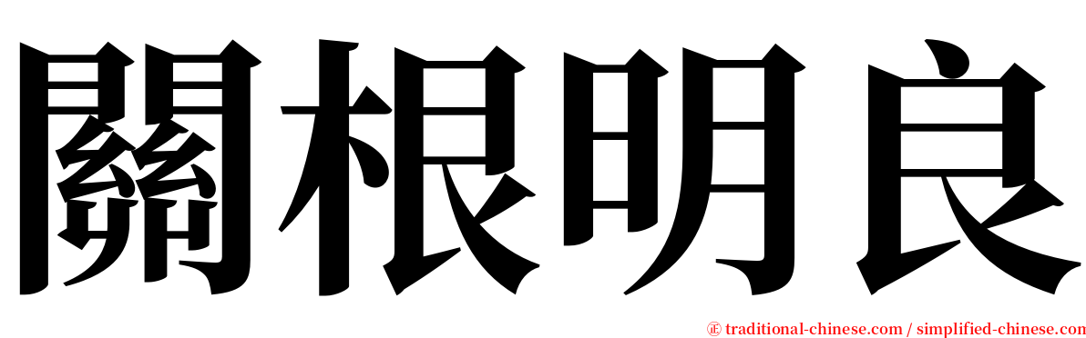 關根明良 serif font