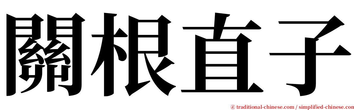 關根直子 serif font