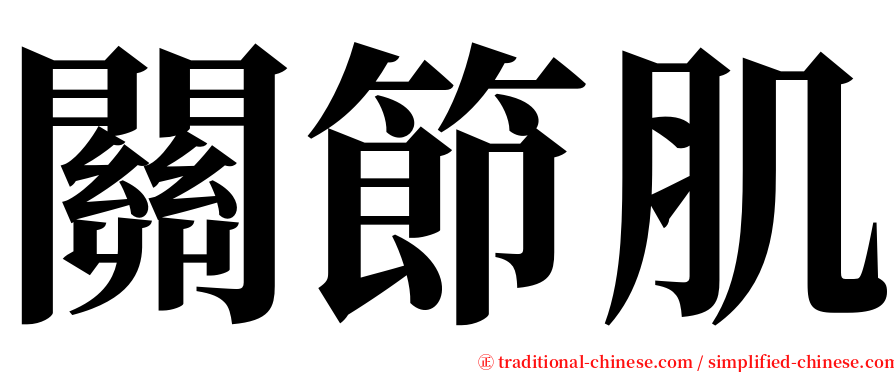 關節肌 serif font