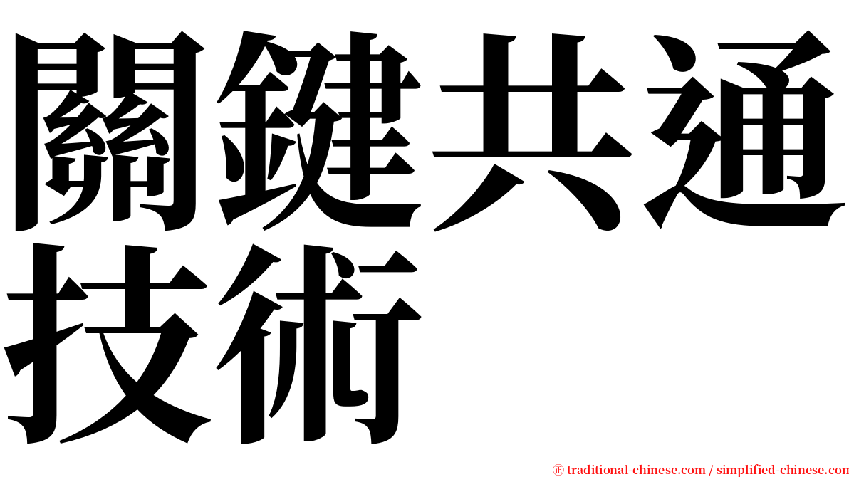 關鍵共通技術 serif font