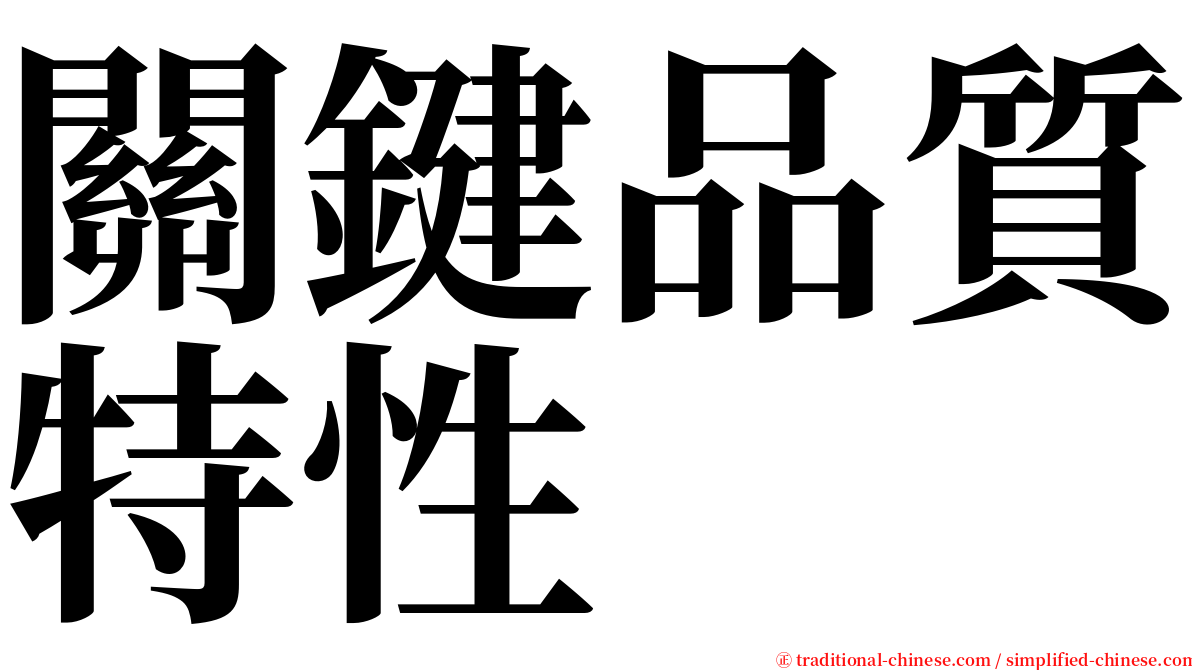 關鍵品質特性 serif font