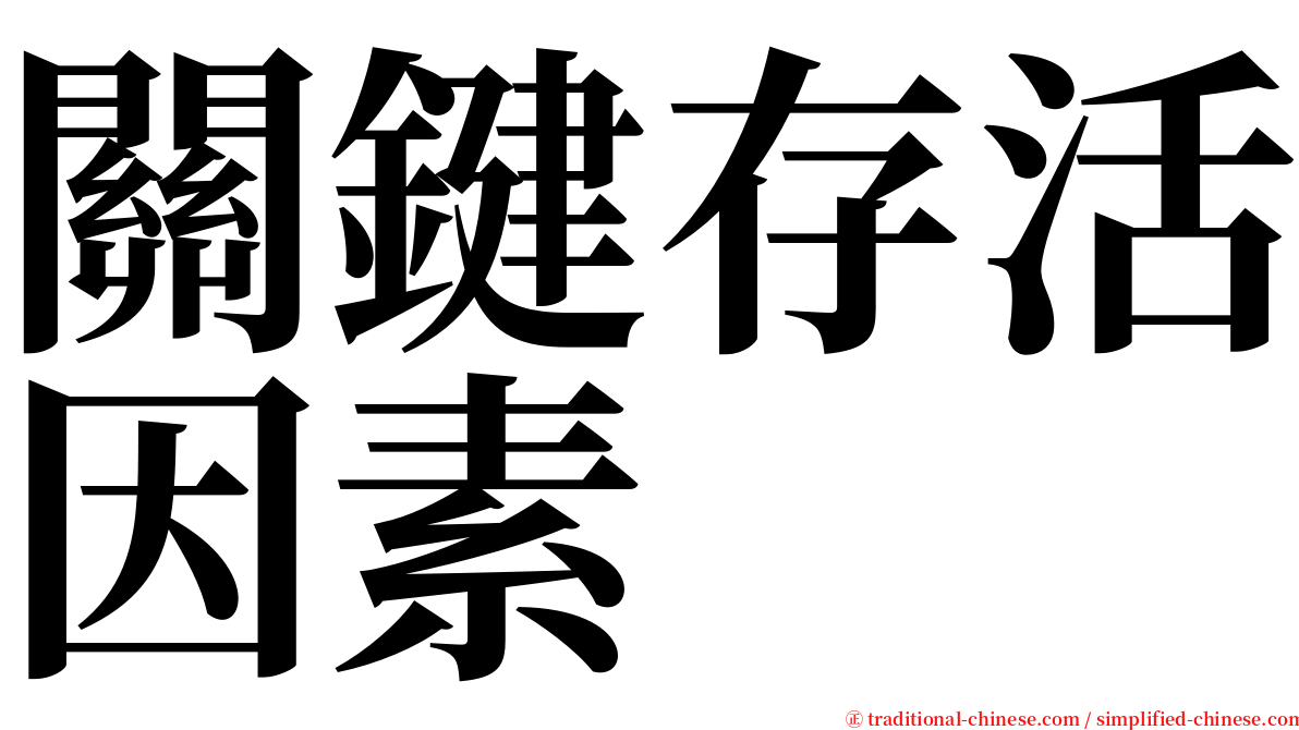 關鍵存活因素 serif font