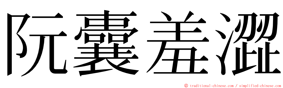 阮囊羞澀 ming font