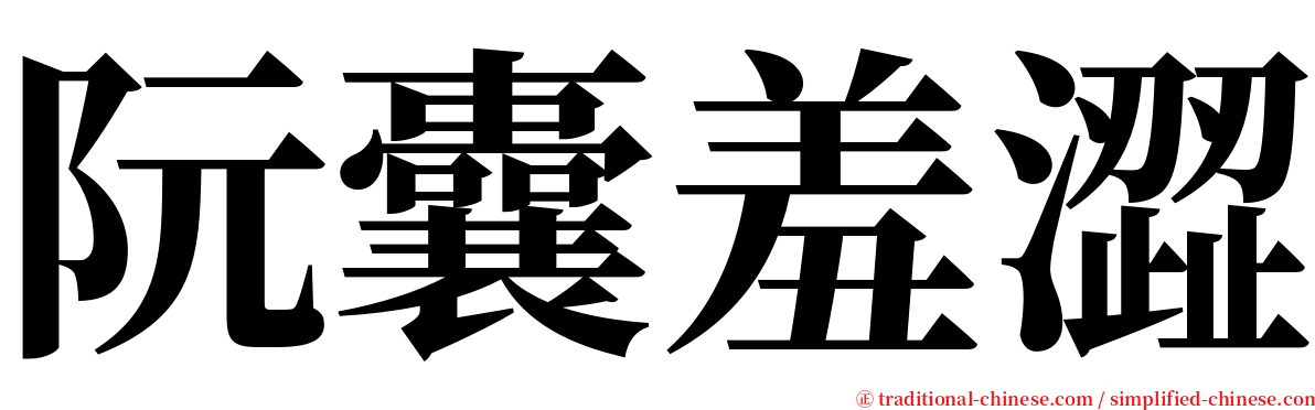 阮囊羞澀 serif font