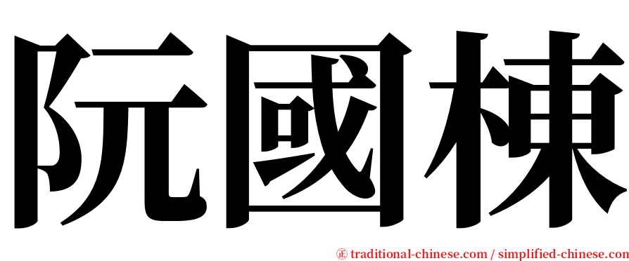 阮國棟 serif font