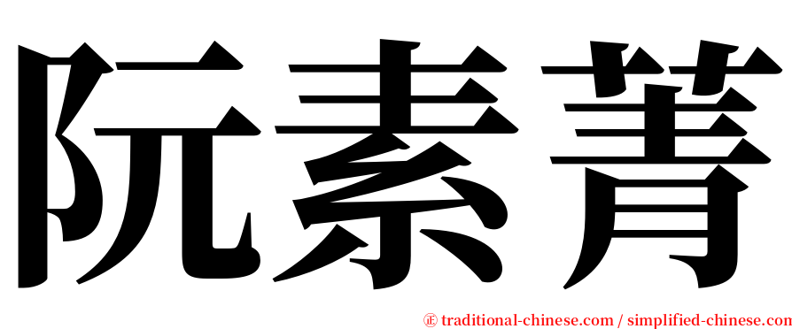 阮素菁 serif font