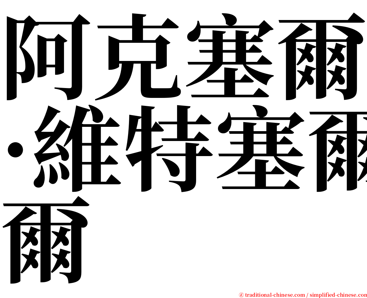 阿克塞爾·維特塞爾 serif font