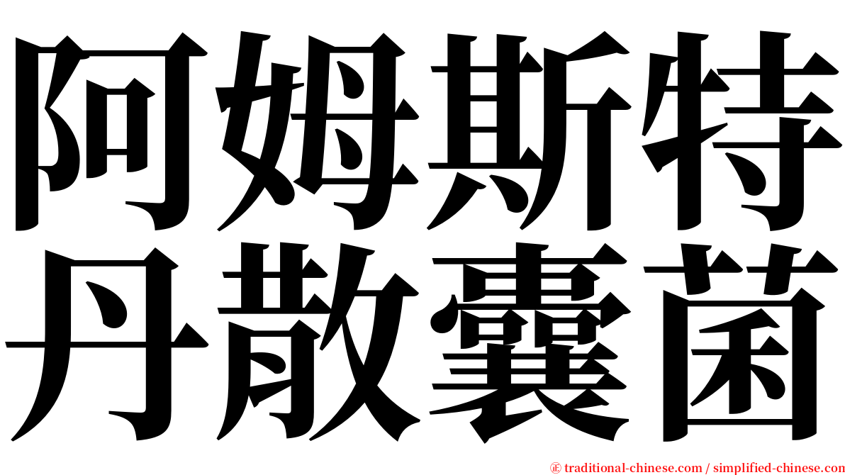 阿姆斯特丹散囊菌 serif font