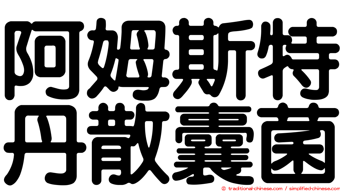 阿姆斯特丹散囊菌