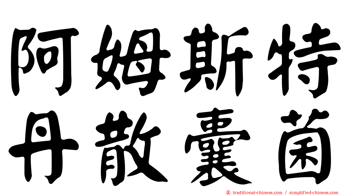 阿姆斯特丹散囊菌