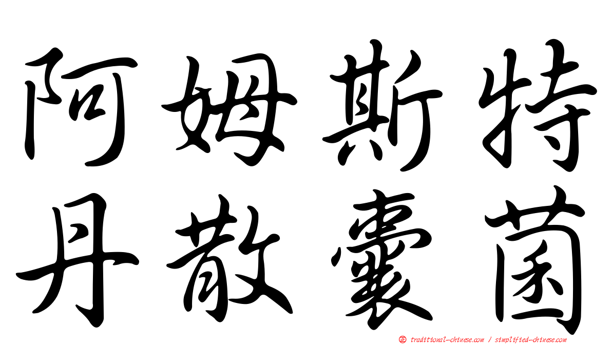 阿姆斯特丹散囊菌