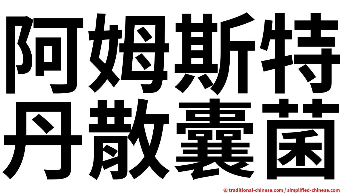 阿姆斯特丹散囊菌