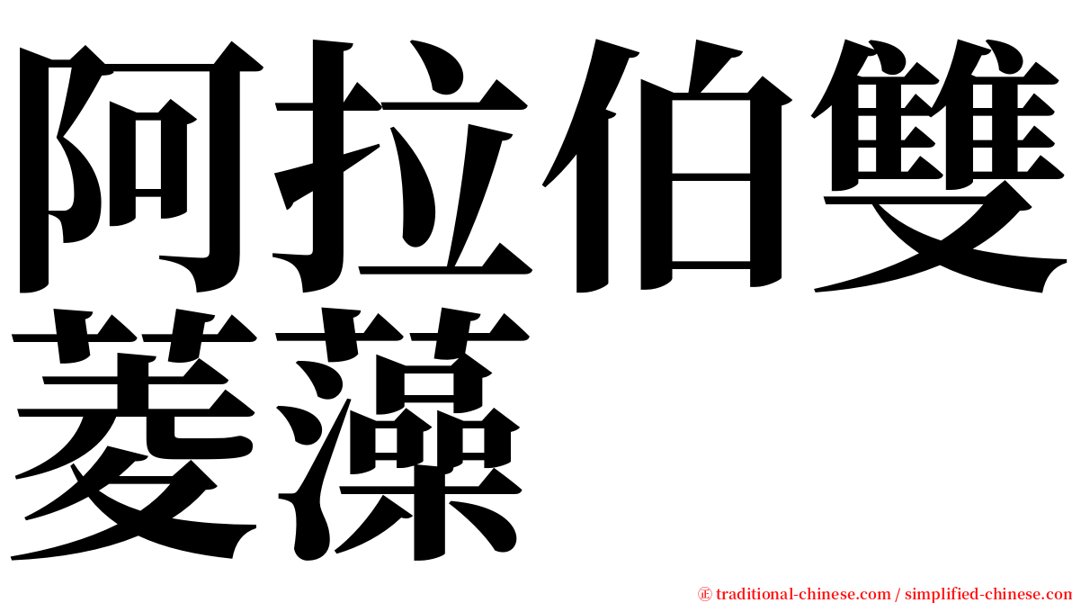 阿拉伯雙菱藻 serif font