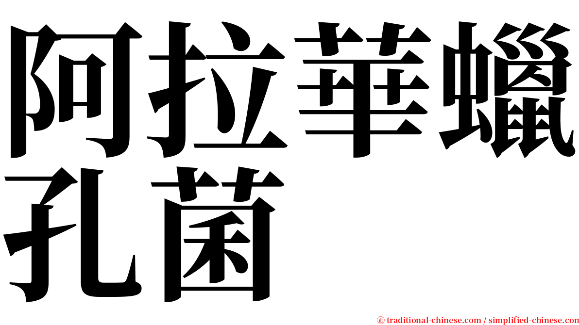 阿拉華蠟孔菌 serif font